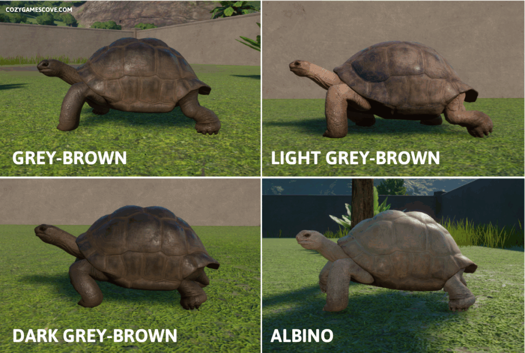 Aldabra giant tortoise colours in planet zoo including a rare albino variant. 