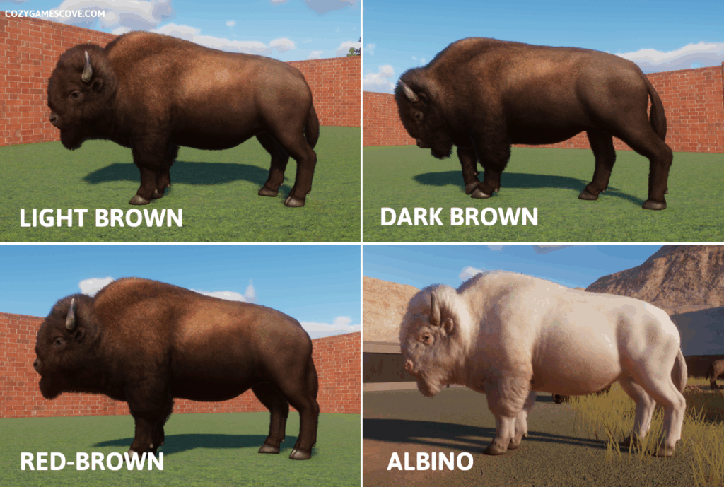 American bison colours in planet zoo including a rare albino variant. 