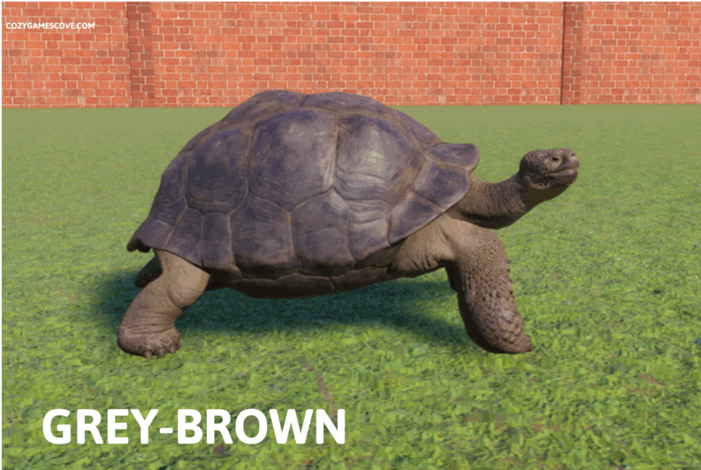 Galapagos Giant Tortoise in Planet Zoo game.