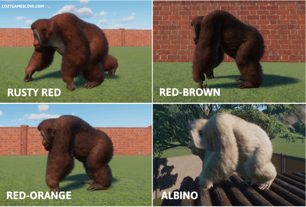 Bornean Orangutan colours in planet zoo including a rare albino variant. 