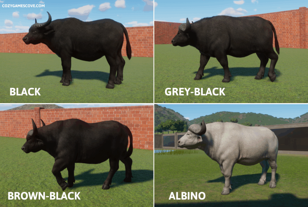African buffalo colours in planet zoo including a rare albino variant. 