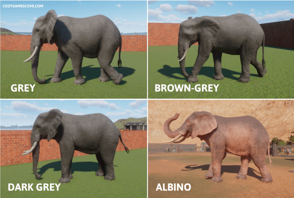 African savannah elephant colours in planet zoo including a rare albino variant. 