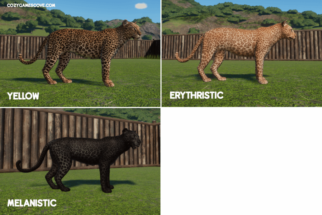 African leopard colours in planet zoo including a erythristic and melanistic colour.