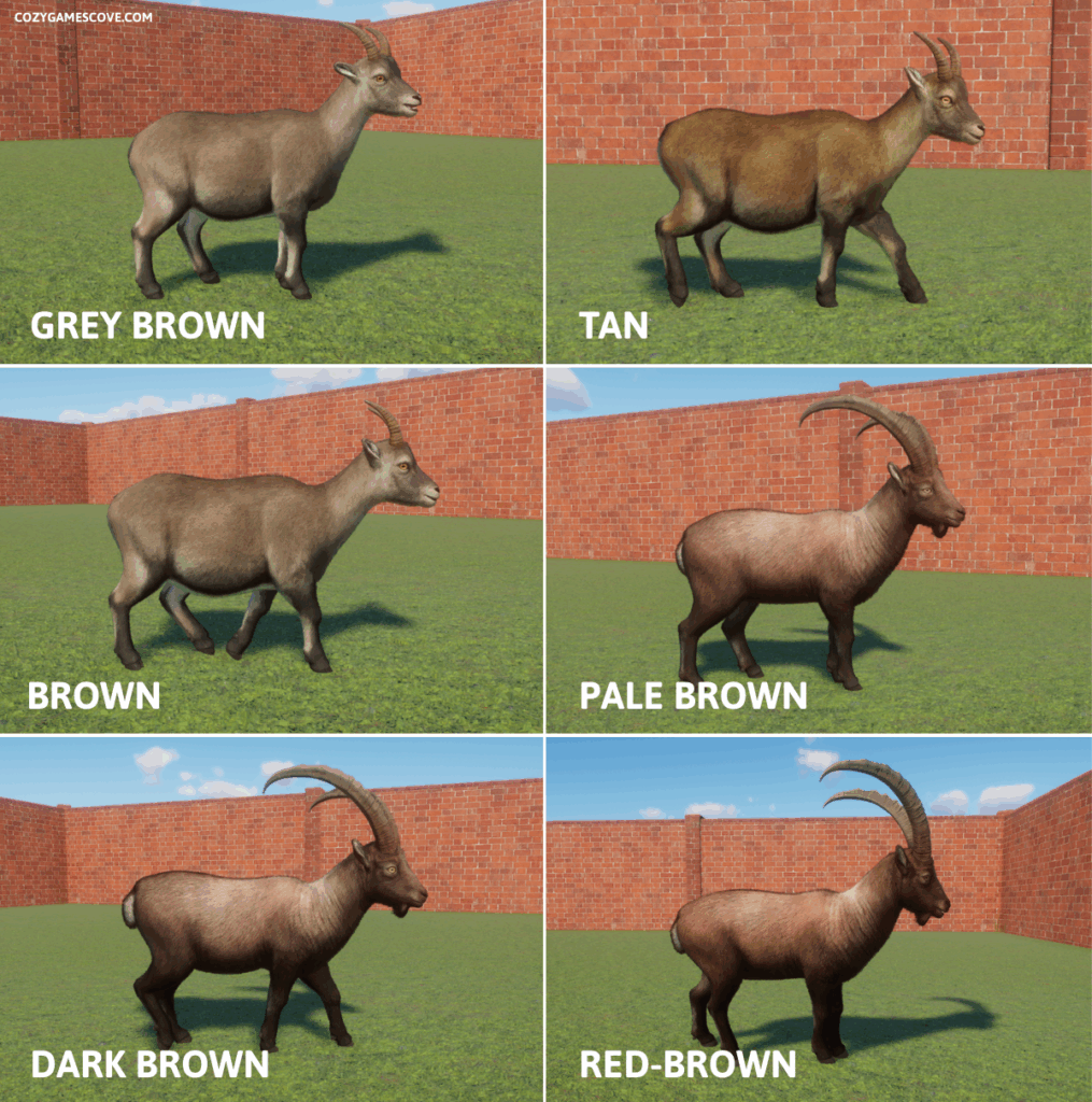 A list of Alpine Ibex coat colours in Planet Zoo with images of each colour.