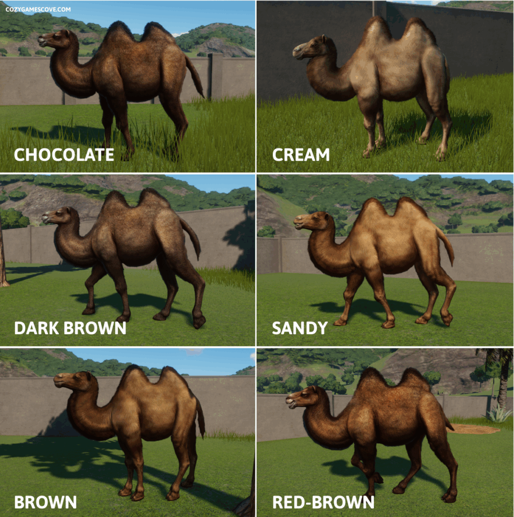 Bactarian camel colours in planet zoo.