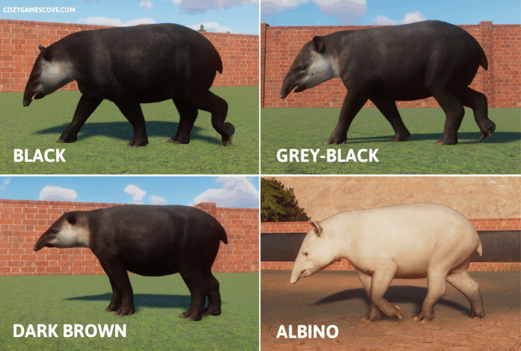 Baird's tapir colours in planet zoo including a rare albino variant. 