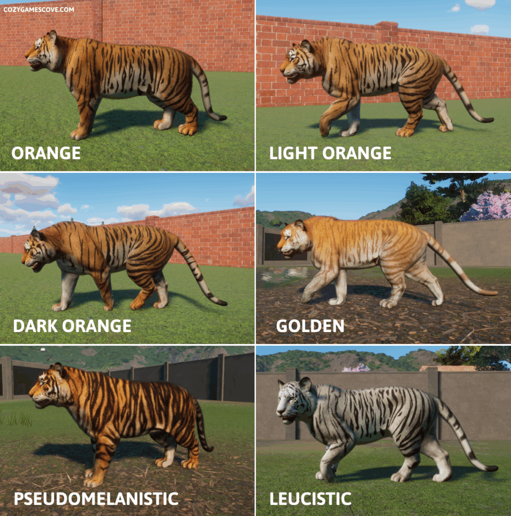 Bengal tiger colours in planet zoo including golden, pseudomelanistic and leucistic.
