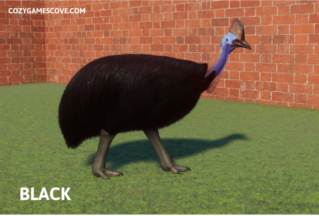Southern Cassowary in Planet Zoo with black plumage.