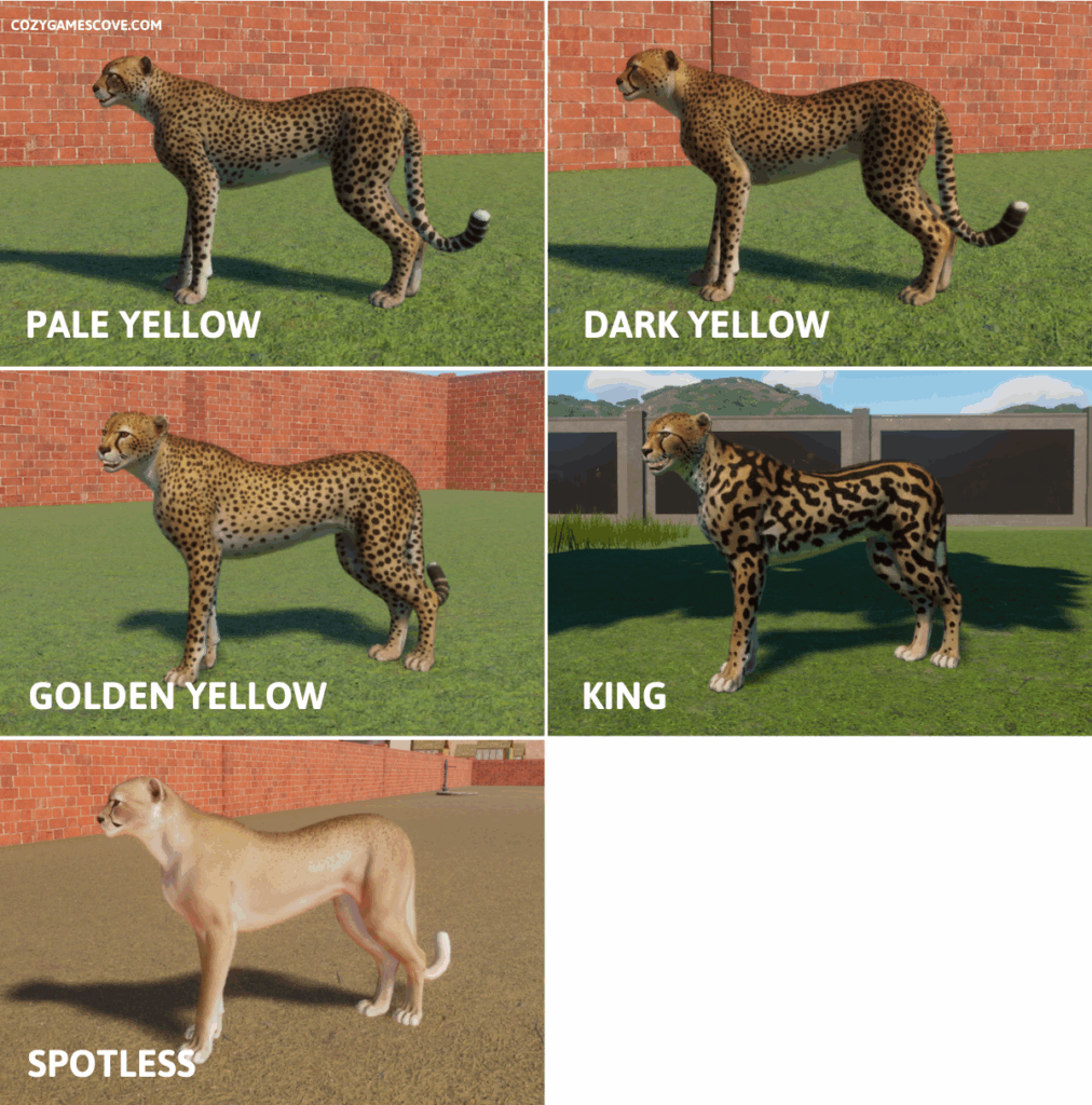 Cheetah colours in planet zoo including golden yellow, king and spotless.