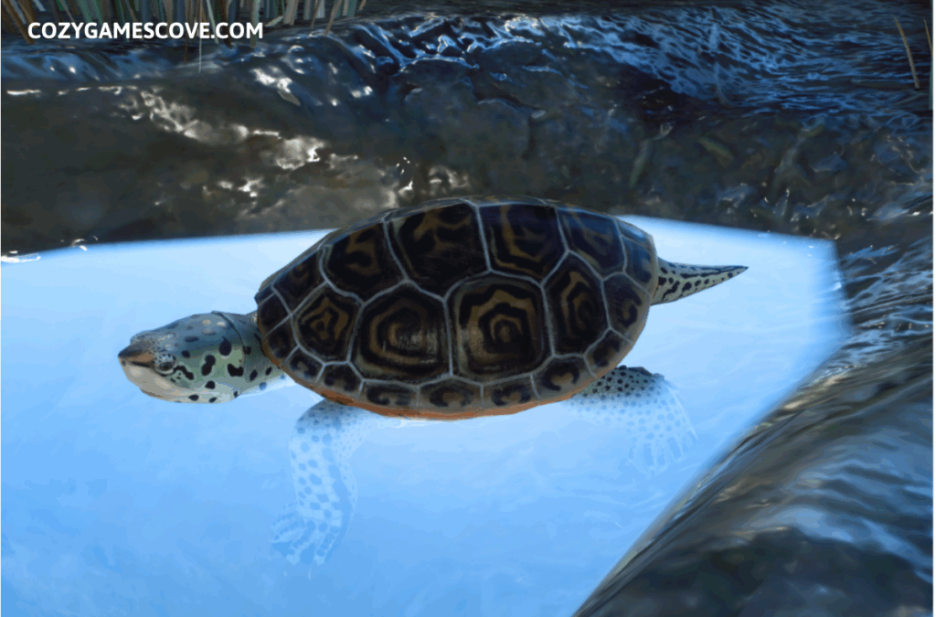 Diamondback Terrapin Planet Zoo