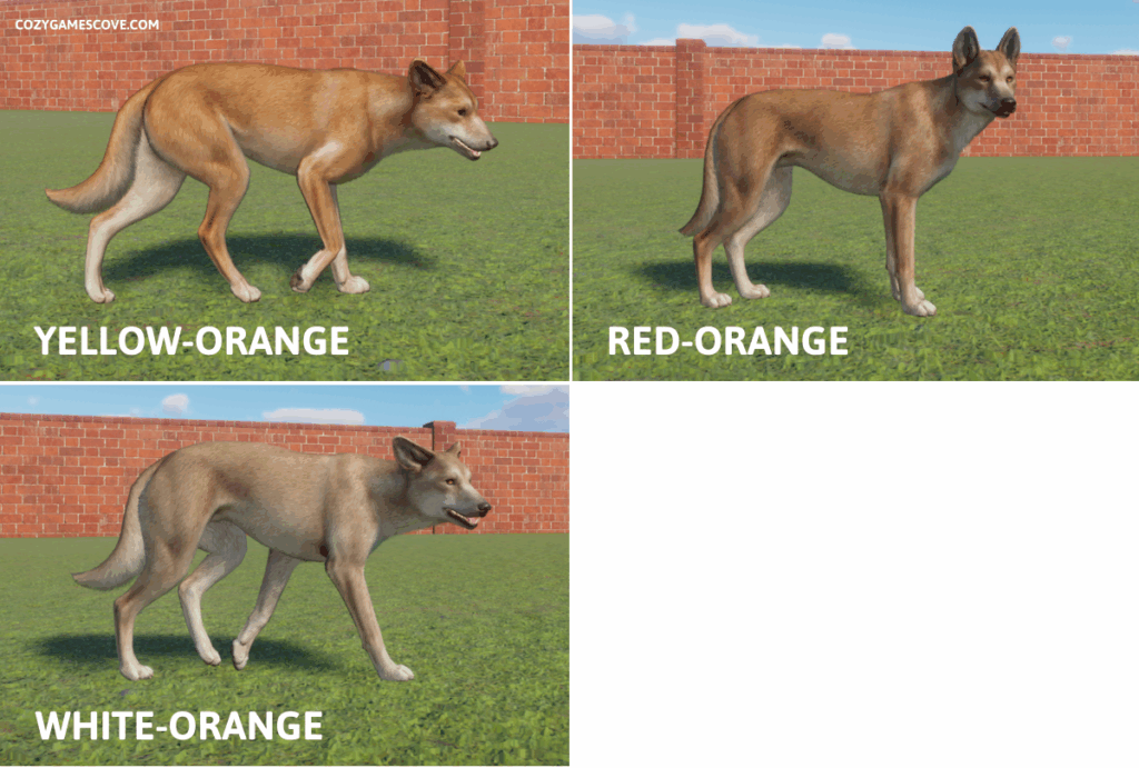 An image showing the three dingo colours in Planet Zoo