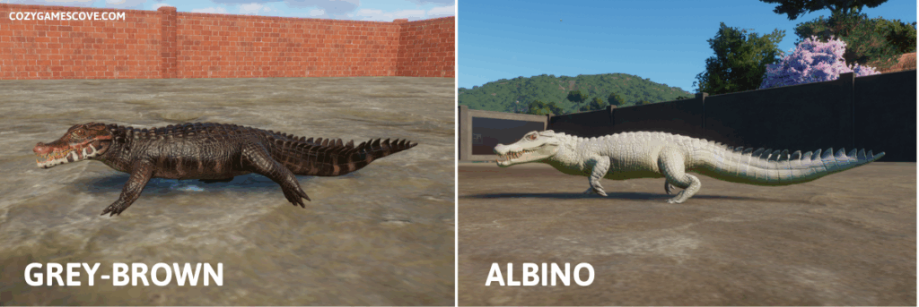Dwarf caiman colours in planet zoo