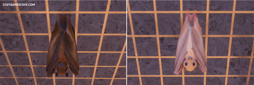 Egyptian fruit bat colours in Planet Zoo