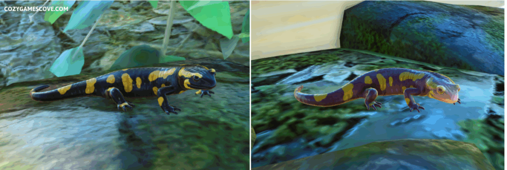 An image showing the fire salamander in planet zoo beside the lighter albino fire salamande.r 