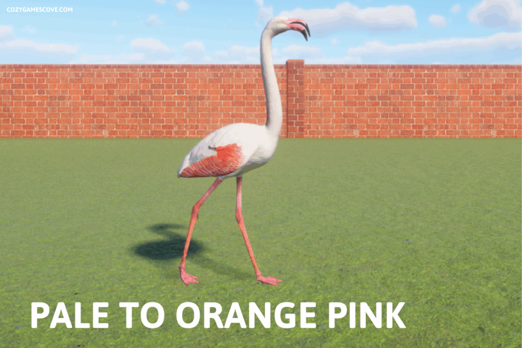 Greater Flamingo in Planet Zoo with pale to orange pink feathers.