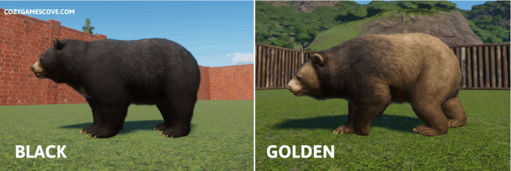 Formosan black bear colours in planet zoo including special golden coat.