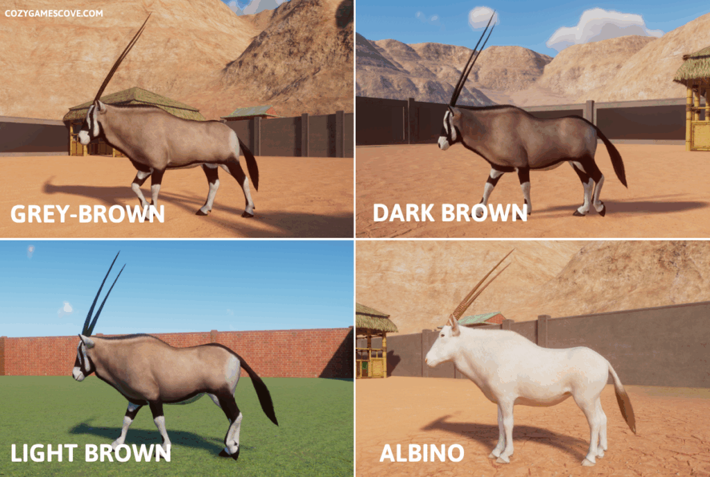 Gemsbok colours in planet zoo including a rare albino variant. 