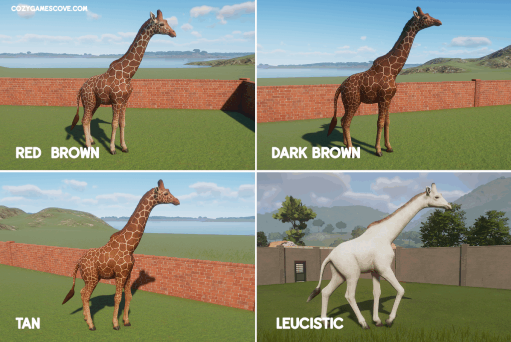 Giraffe colours in planet zoo including a rare leucistic white.