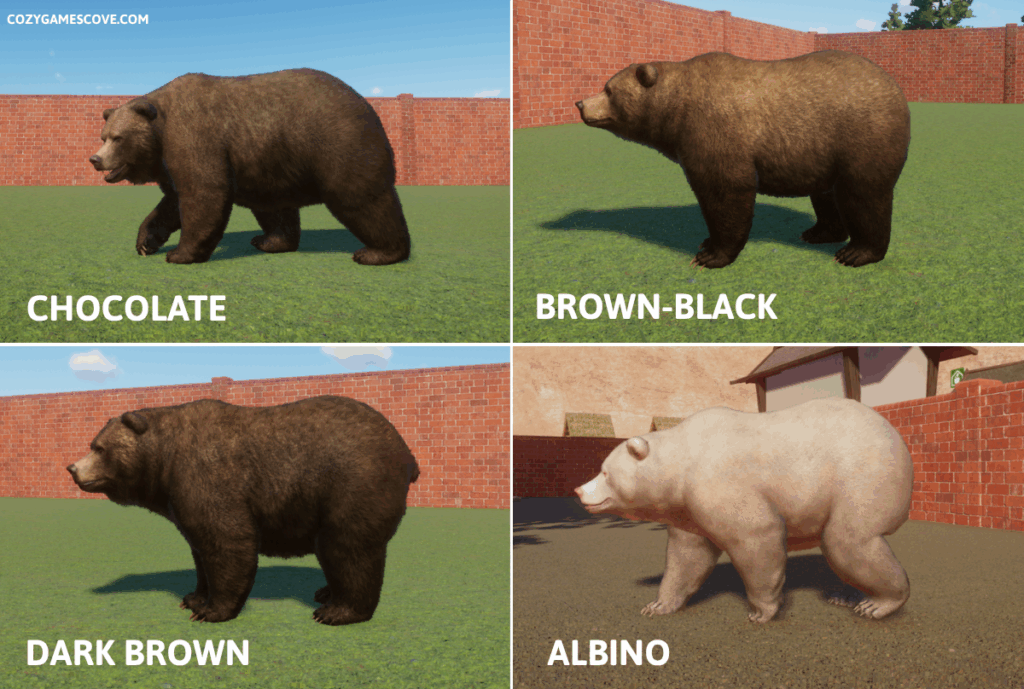 Grizzly bear colours in planet zoo including a rare albino variant. 