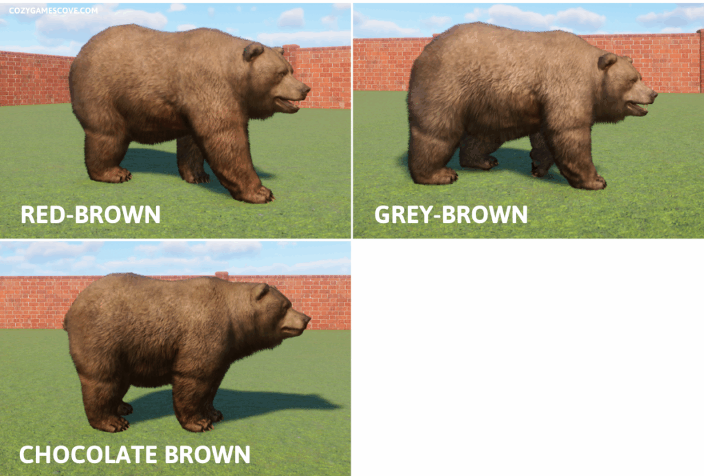 The three shades of Himalayan Brown Bears in Planet Zoo.