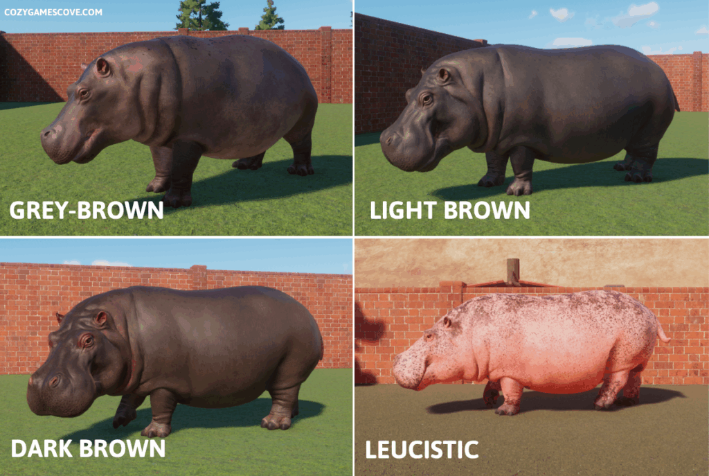 Hippo skin colours in planet zoo including a rare leucistic pink.