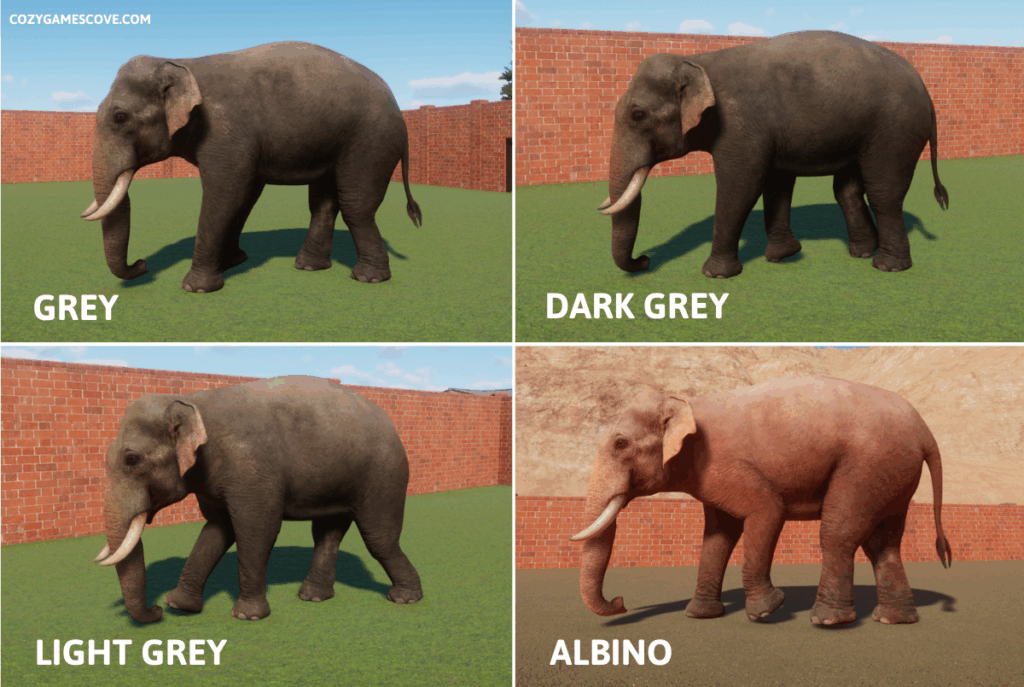 Indian elephant colours in planet zoo including a rare albino variant. 