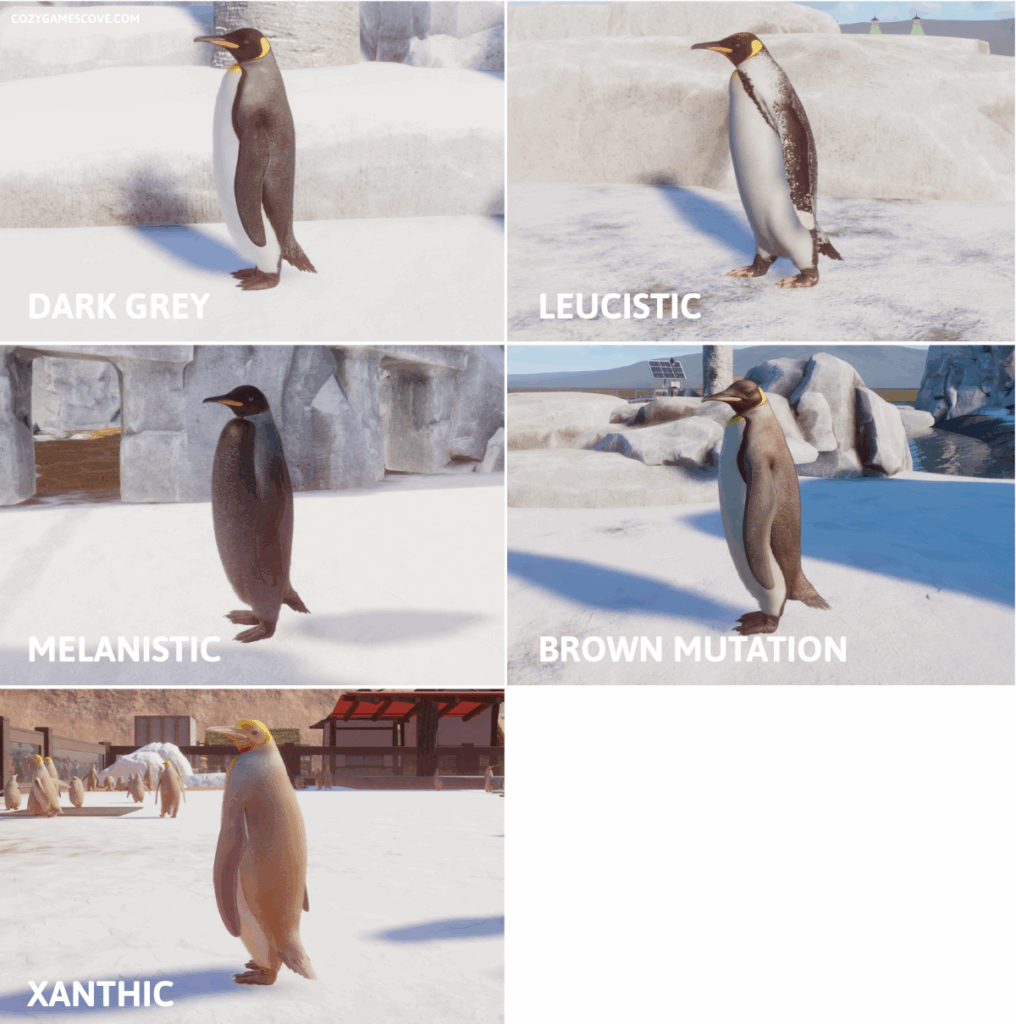 King penguin colours in planet zoo