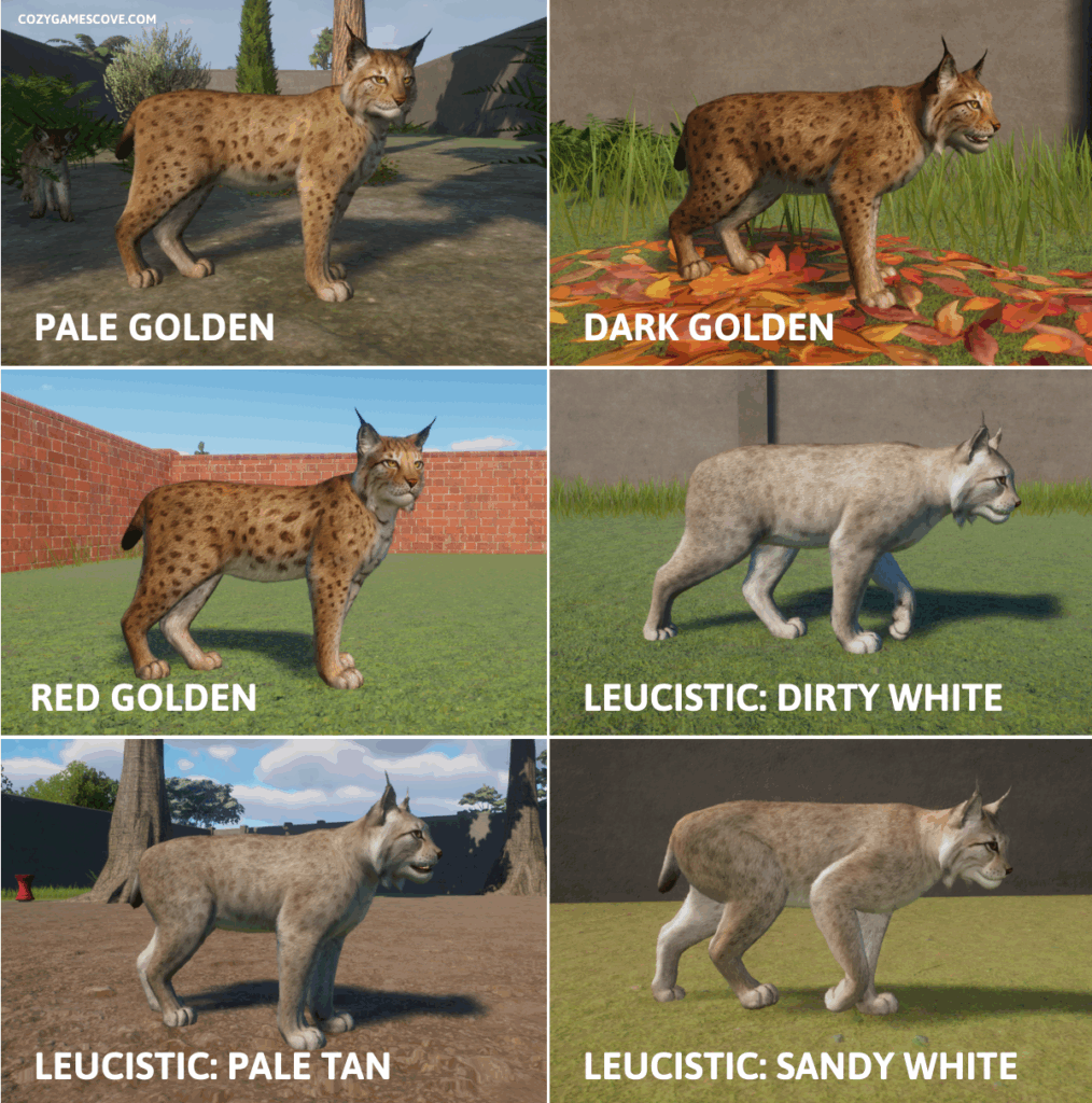 Lynx Colour List in Planet Zoo including all coat colours.