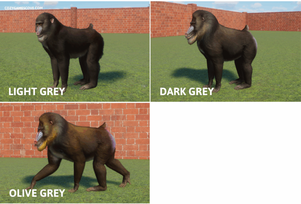 Mandrill colours in Planet Zoo.