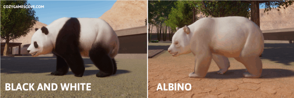 Giant panda colours in planet zoo including a rare albino variant. 