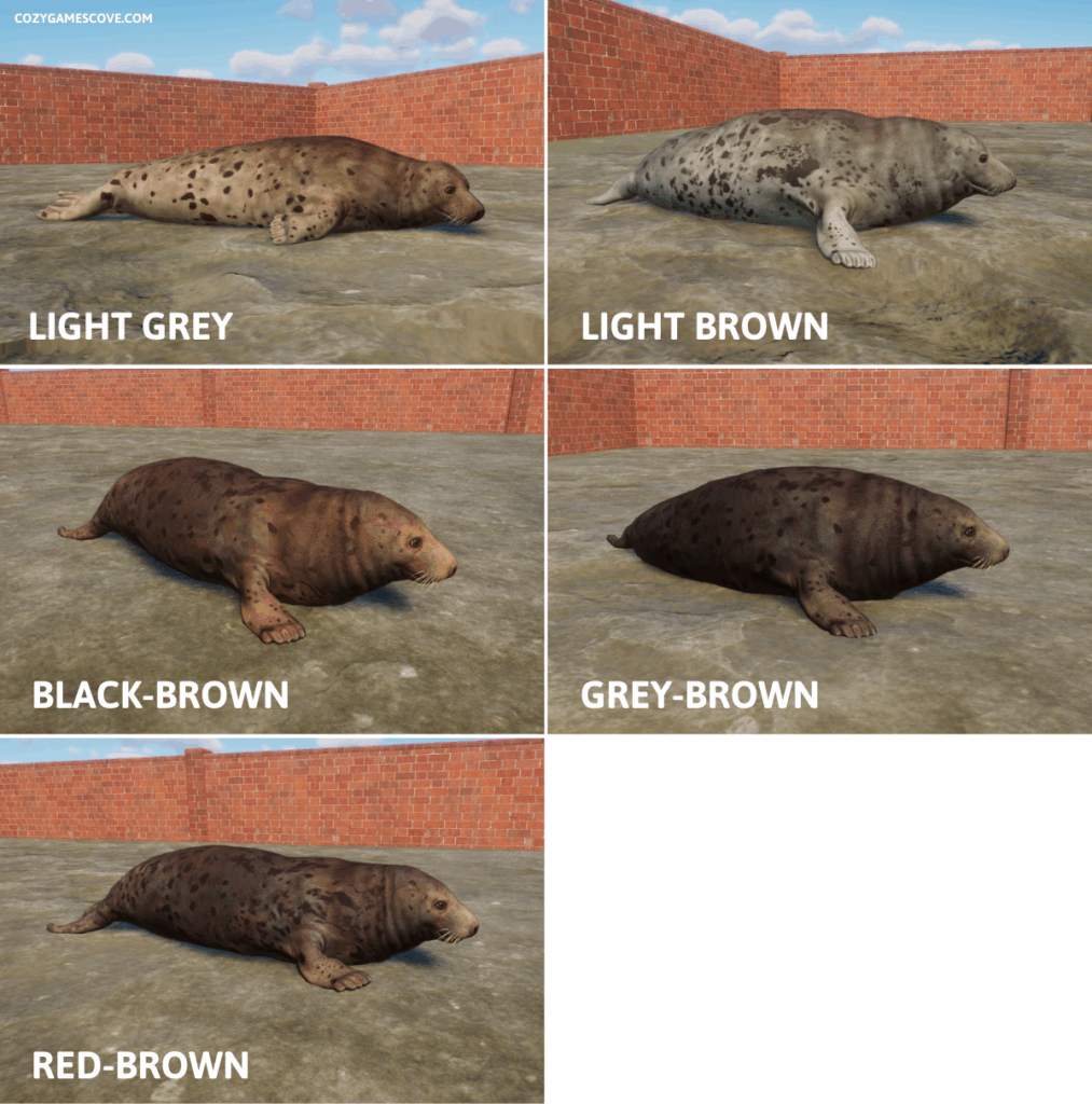 Grey seal colours in Planet zoo