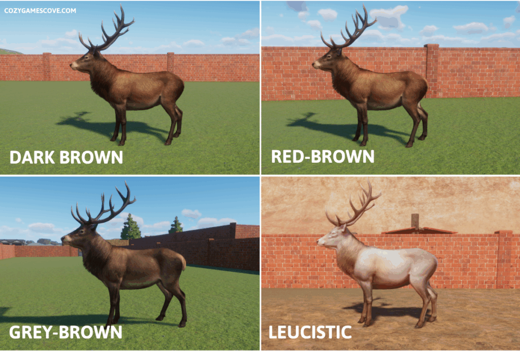 Red deer coat colours in planet zoo including a rare leucistic variant. 