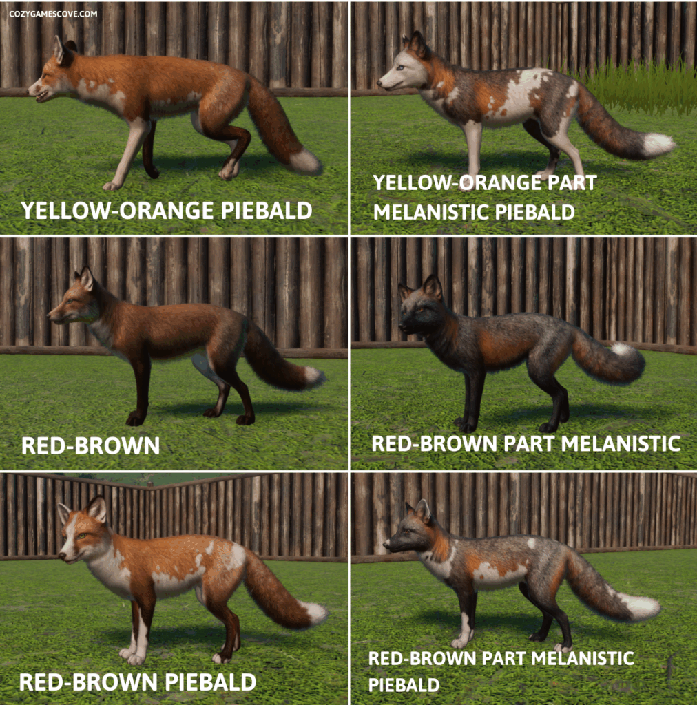 Red fox colours in Planet Zoo