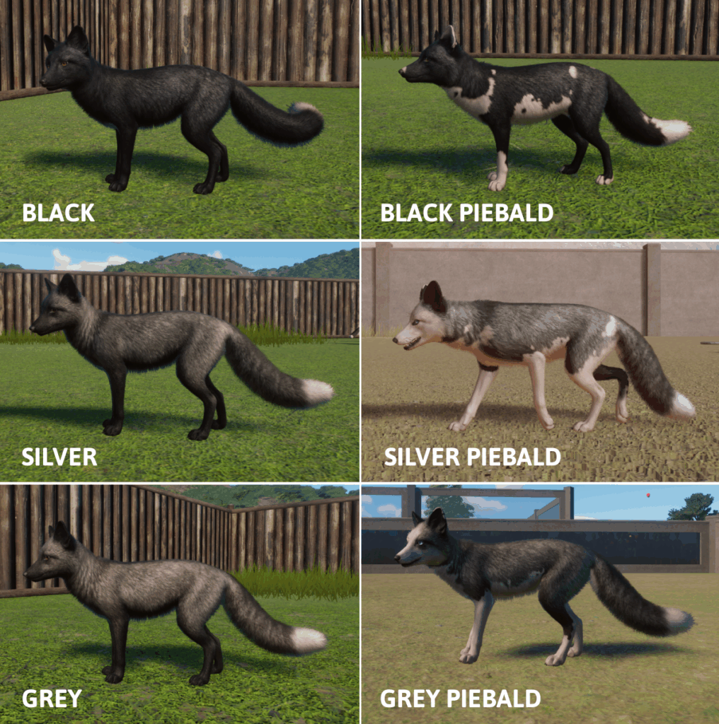 Red Fox colours in Planet Zoo