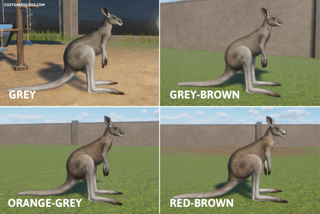 An image showing  the seven red kangaroo colours in Planet Zoo