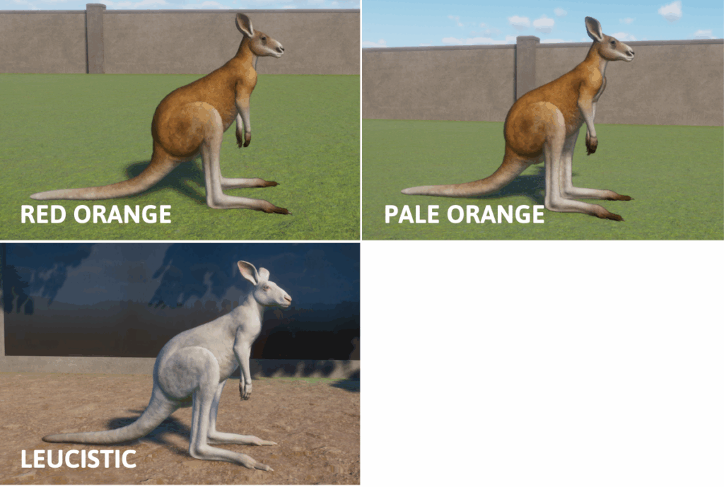 An image showing  the seven red kangaroo colours in Planet Zoo, including the special coat