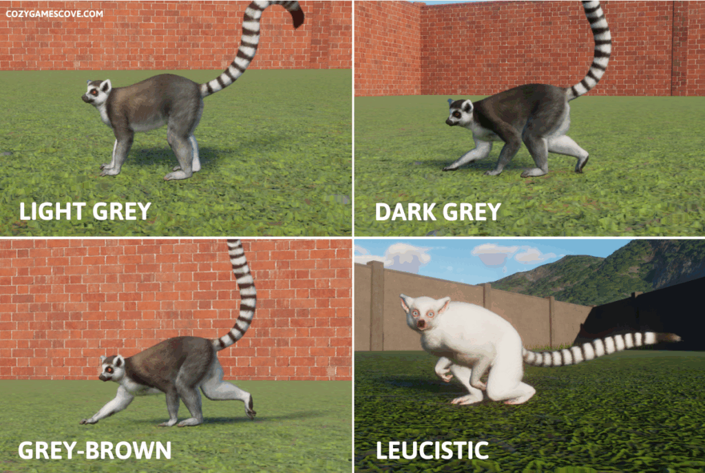 Ring-tailed lemur colours in planet zoo including a rare white leucistic.
