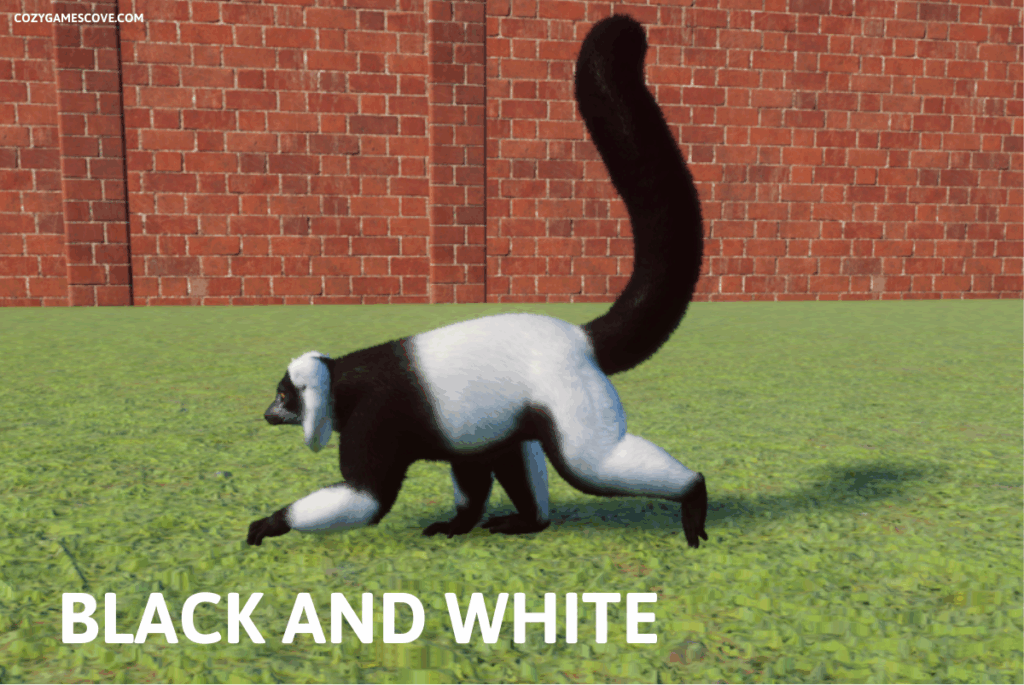 Black-and-white ruffed lemur in enclosure in Planet Zoo game
