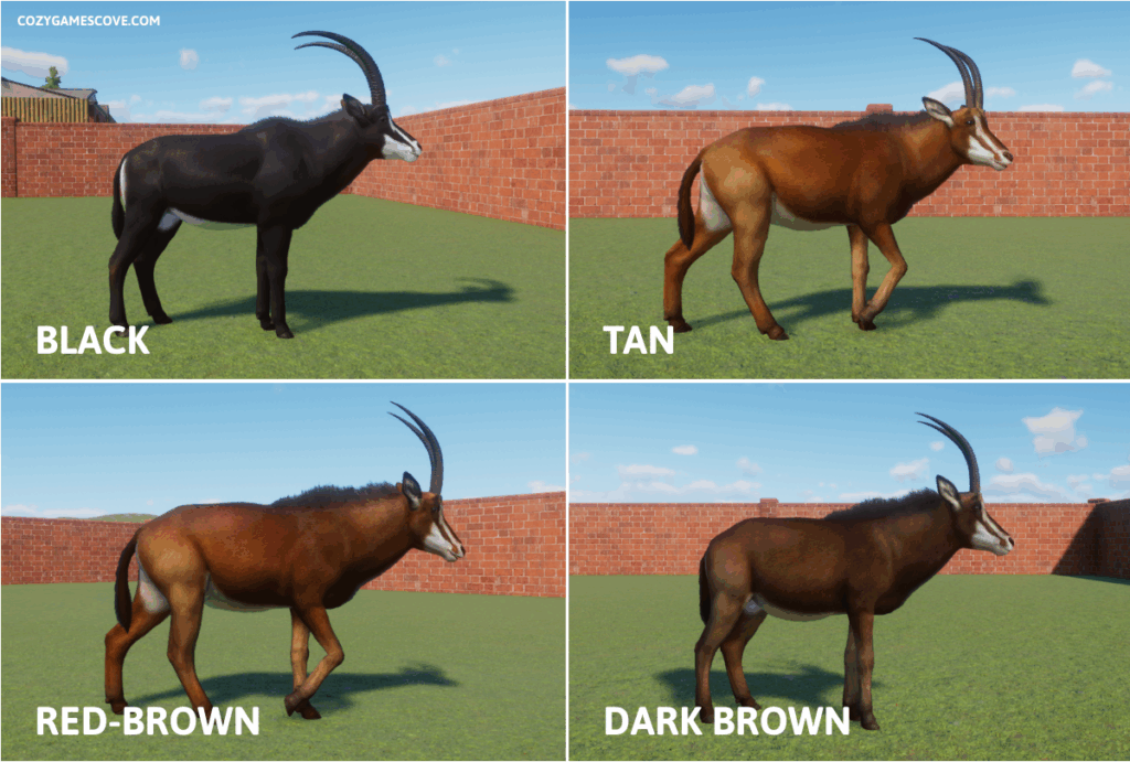 The colours of sable antelopes in Planet Zoo.