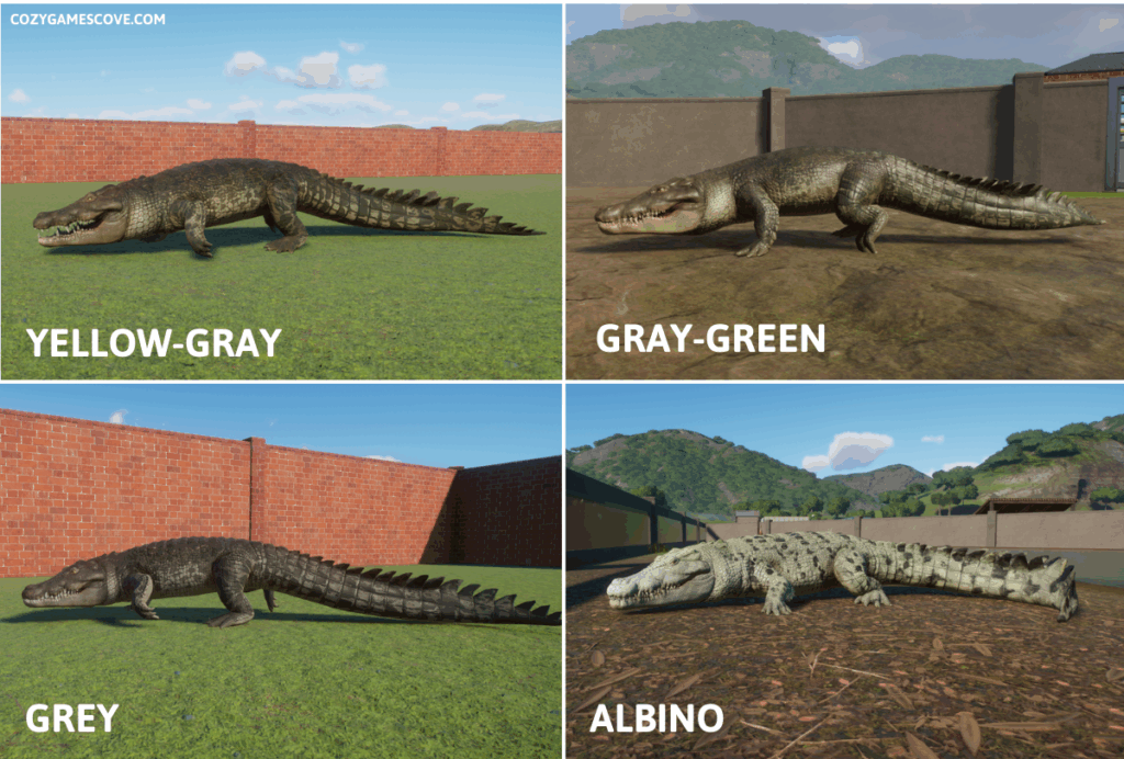 Saltwater crocodile colours in planet zoo including a rare albino variant. 