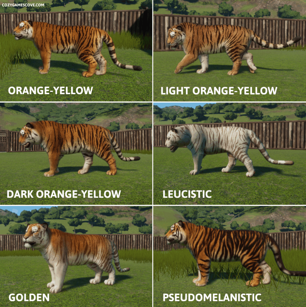 Siberian tiger colours in planet zoo including special coats.