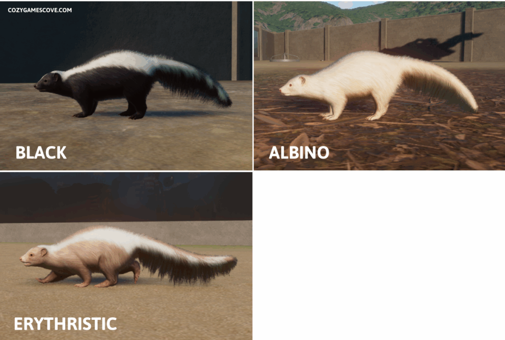 Skunk colours in Planet zoo including rare albino and erythristic colours.