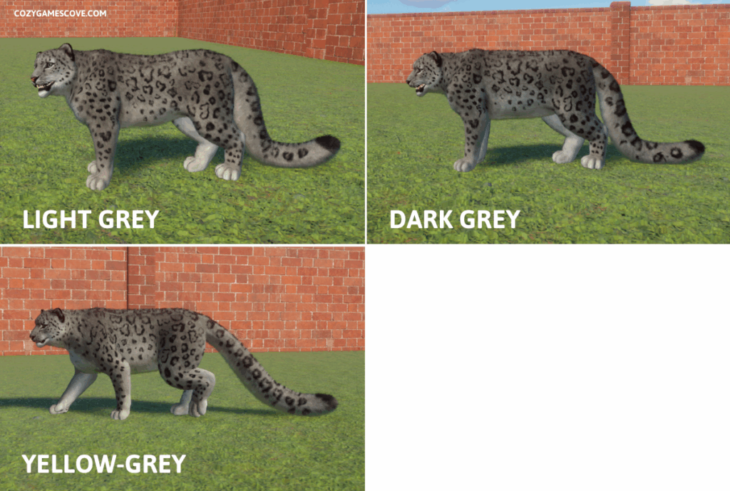 The three shades of grey of snow leopards.
