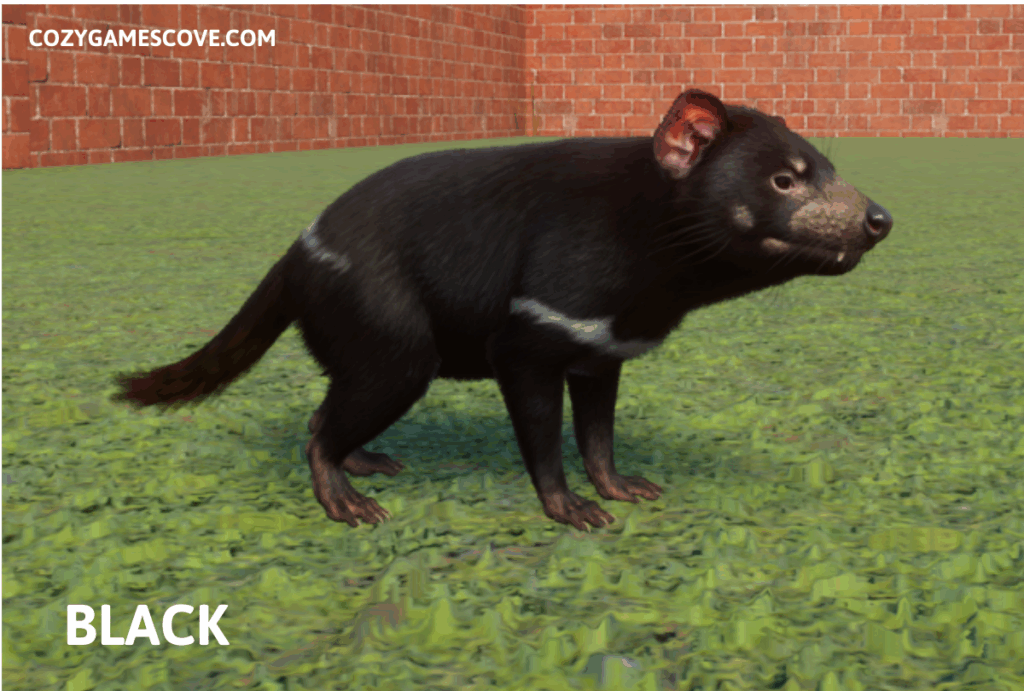 Tasmanian Devil