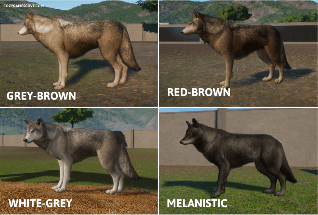 Timber wolf colours in planet zoo including a black melanistic coat.