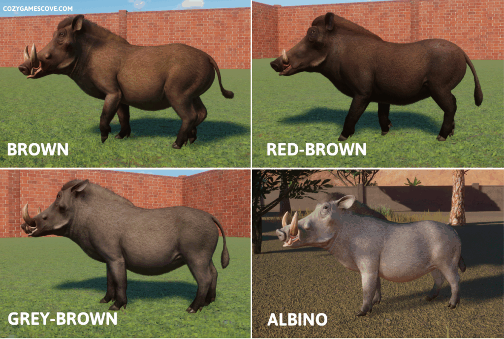 Common warthog colours in planet zoo including a rare albino variant. 