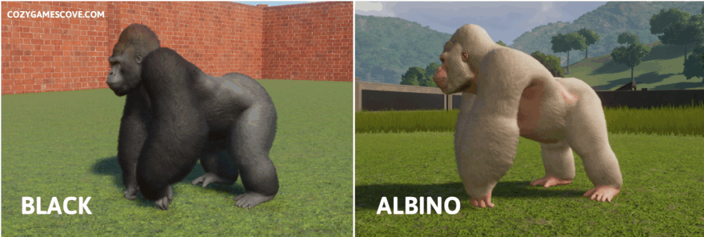 Gorilla colours in planet zoo including a rare albino variant. 
