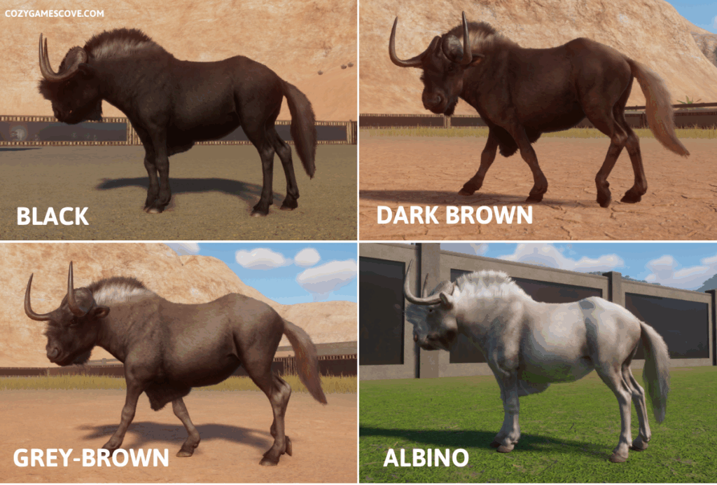 Black wildebeast colours in planet zoo including a rare albino variant. 
