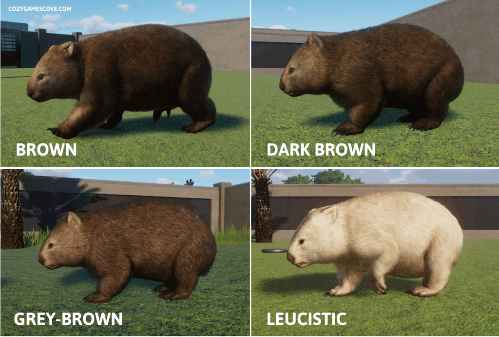 Common wombat colours in Planet Zoo Twilight pack
