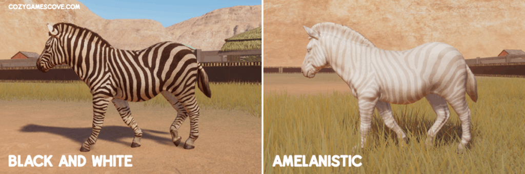 Zebra colours in planet zoo including a rare amelanistic variant. 